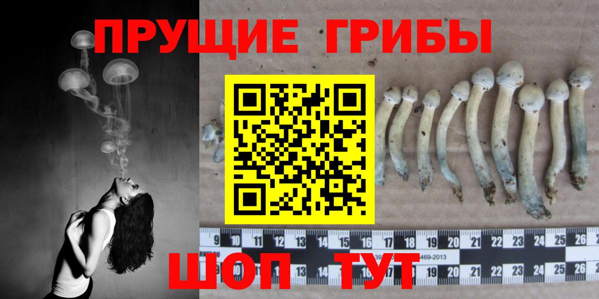Егорьевск  Псилоцибиновые грибы Magic Shrooms  Вход с VPN 